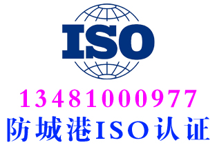 港口区iso9001质量管理体系认证